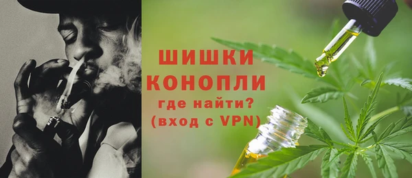 крисы Богданович