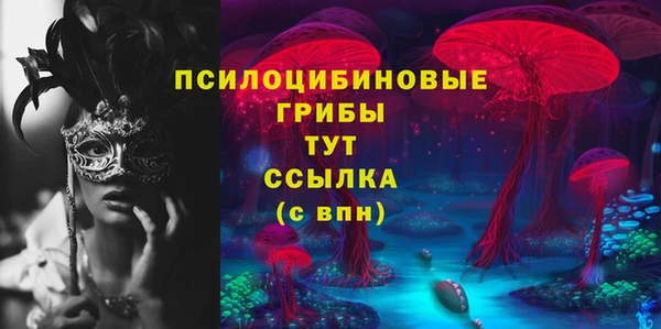 бошки Беломорск
