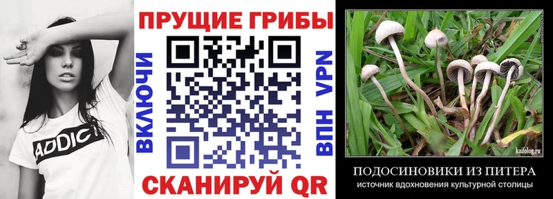 Псилоцибиновые грибы мухоморы  Миньяр 